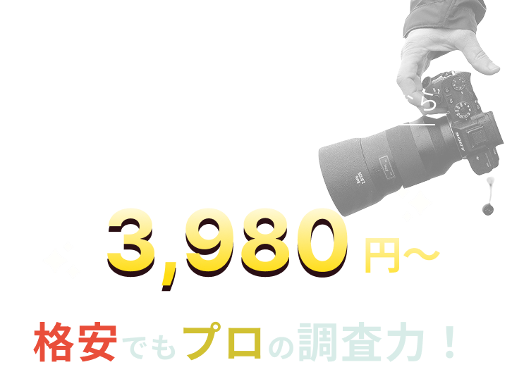 格安価格とカメラマンの手とカメラ